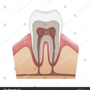 پوستر دیواری طرح دندان